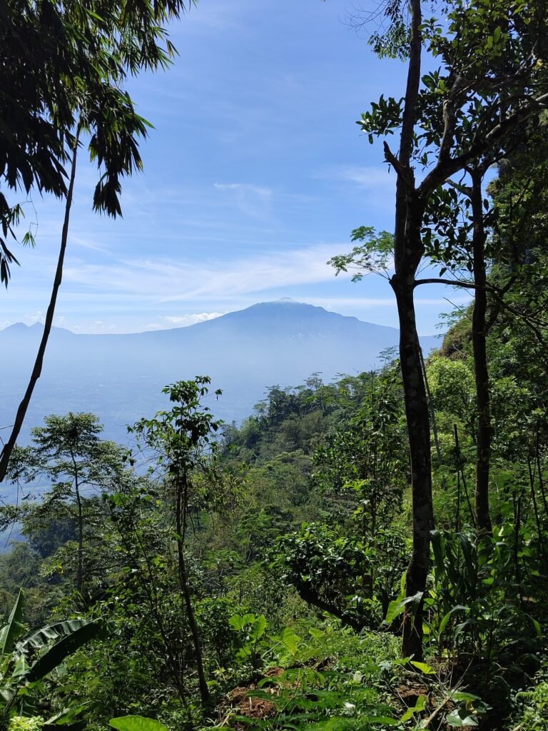 View menuju Puncak Suralaya